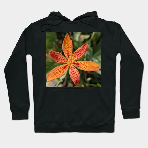 Spotted Orange Flower Photographic Image Hoodie by AustaArt